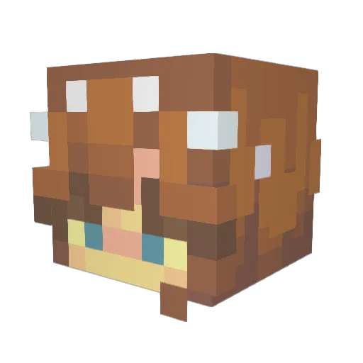crazykid15 Minecraft avatar head, 3D render