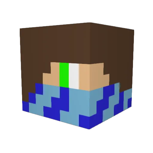 crazykid20004 Minecraft avatar head, 3D render