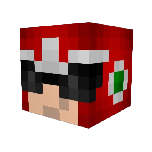 crazykoala35 Minecraft avatar head, 3D render