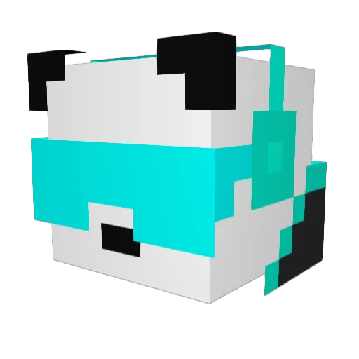 crazypanda39 Minecraft avatar head, 3D render