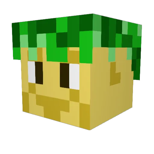 crazypoop123 Minecraft avatar head, 3D render