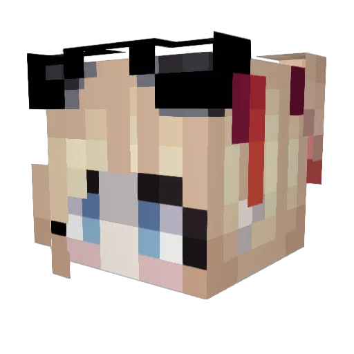 crazyseashells Minecraft avatar head, 3D render