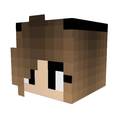 crazystupidlife Minecraft avatar head, 3D render