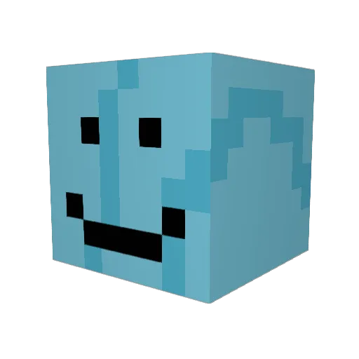 crazytiger3208 Minecraft avatar head, 3D render