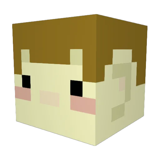 crazytilo Minecraft avatar head, 3D render
