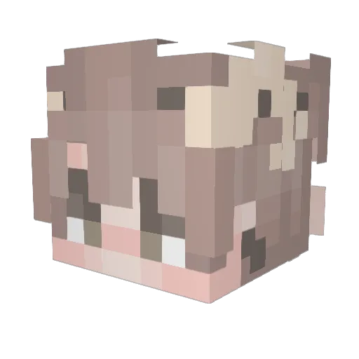 crazyturtle831 Minecraft avatar head, 3D render