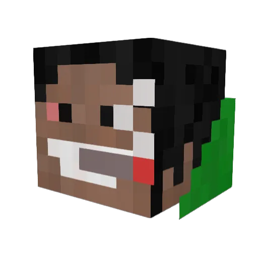 crazywohool Minecraft avatar head, 3D render