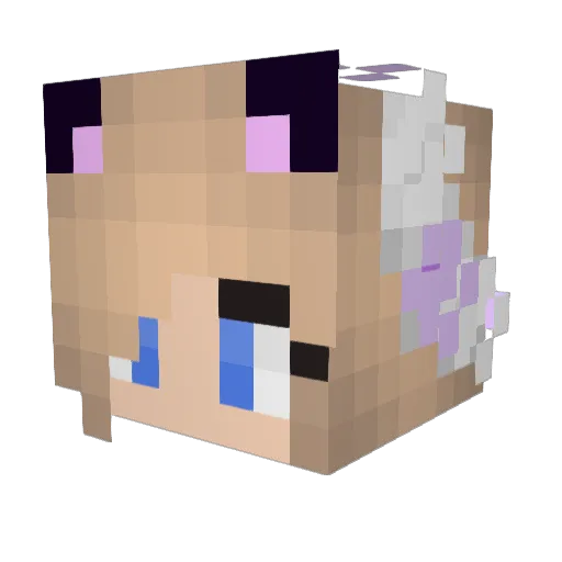 crazyzaine Minecraft avatar head, 3D render