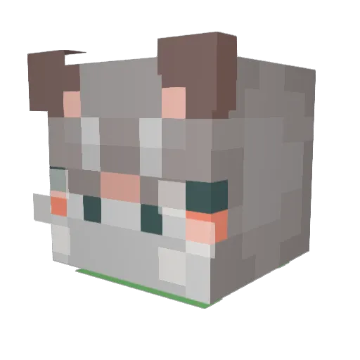 creamedspinach Minecraft avatar head, 3D render