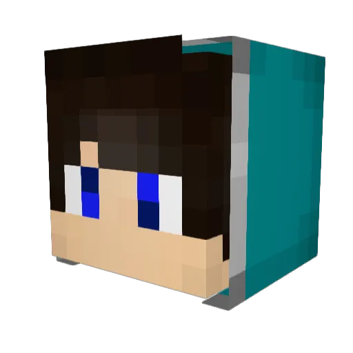 creaper2002 Minecraft avatar head, 3D render