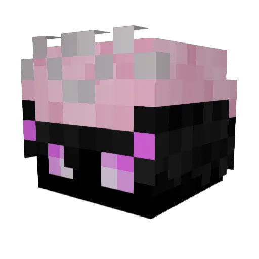 creaperfan Minecraft avatar head, 3D render
