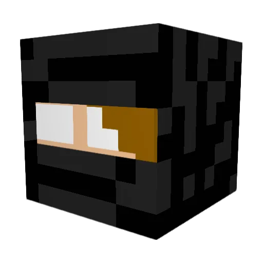 creator1209 Minecraft avatar head, 3D render