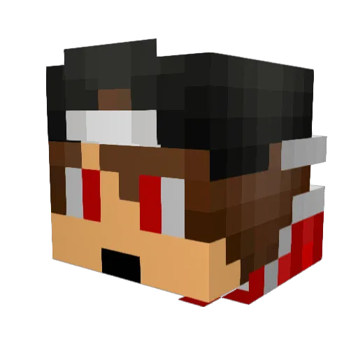 creditcard23 Minecraft avatar head, 3D render