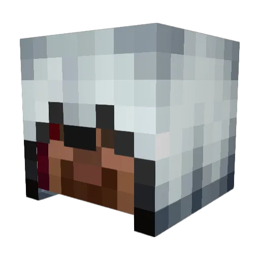 credx77 Minecraft avatar head, 3D render