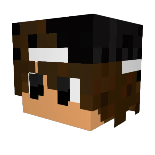 creekerkillerzx Minecraft avatar head, 3D render