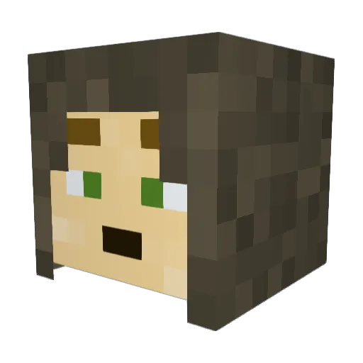 creeper1673 Minecraft avatar head, 3D render