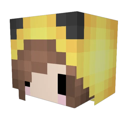 creeper535353 Minecraft avatar head, 3D render