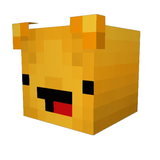 creeperBomber1 Minecraft avatar head, 3D render