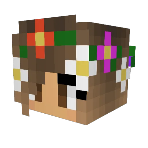 creeper_slayer9 Minecraft avatar head, 3D render