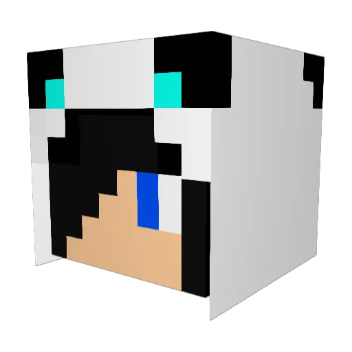 creeperbait1 Minecraft avatar head, 3D render