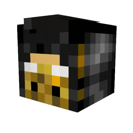 creeperboy564 Minecraft avatar head, 3D render