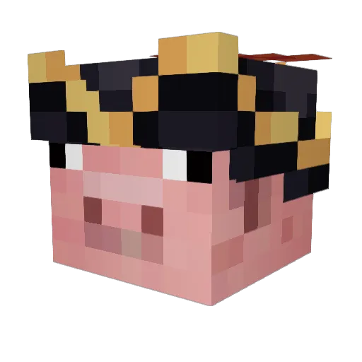creeperfan108 Minecraft avatar head, 3D render