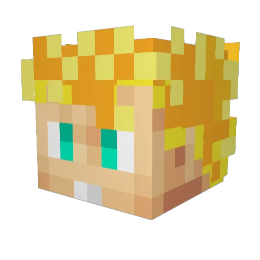 creeperflame2299 Minecraft avatar head, 3D render