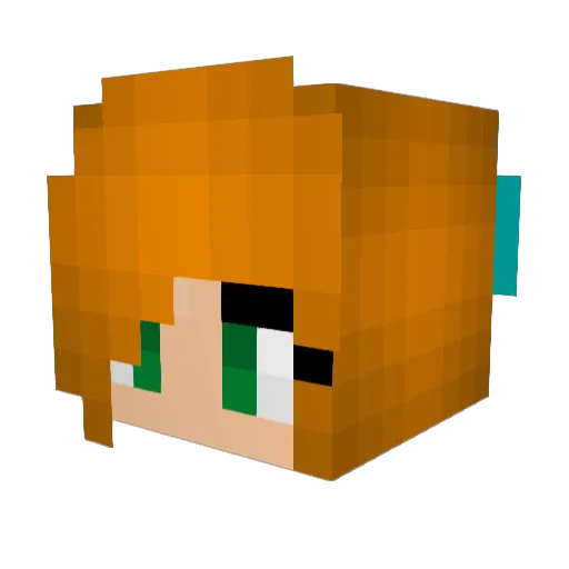 creeperhunterx4 Minecraft avatar head, 3D render