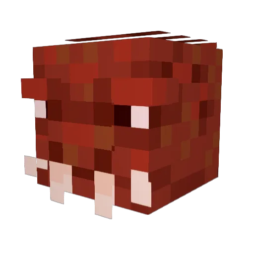 creeperjohn17528 Minecraft avatar head, 3D render