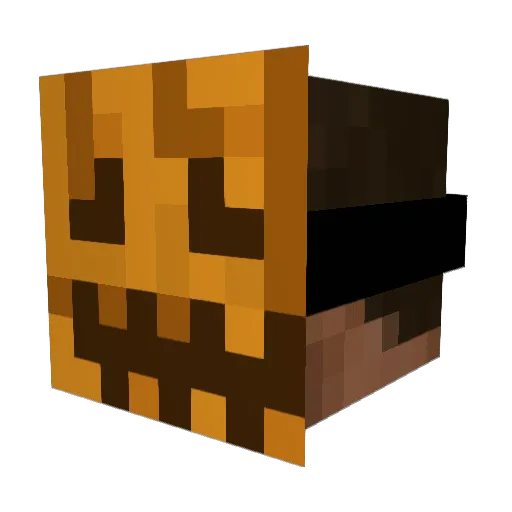 creeperlord145 Minecraft avatar head, 3D render