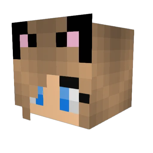 creepermachine Minecraft avatar head, 3D render
