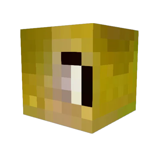 creeperpuppy2 Minecraft avatar head, 3D render