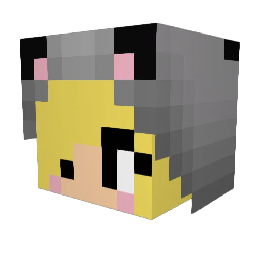 creepersss98 Minecraft avatar head, 3D render