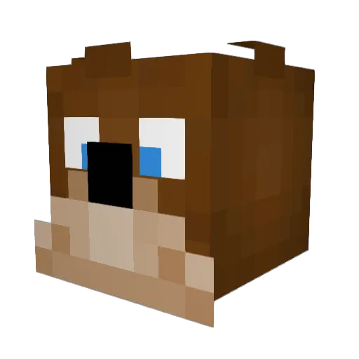 crepers5000 Minecraft avatar head, 3D render