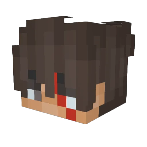 creppercraft123 Minecraft avatar head, 3D render
