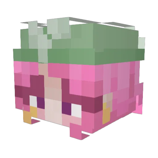 cribbet Minecraft avatar head, 3D render