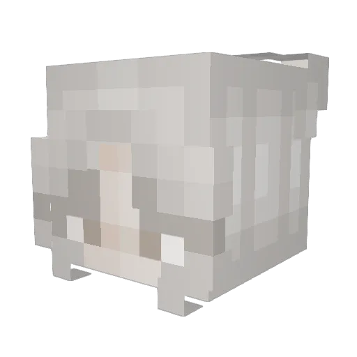 criddler Minecraft avatar head, 3D render