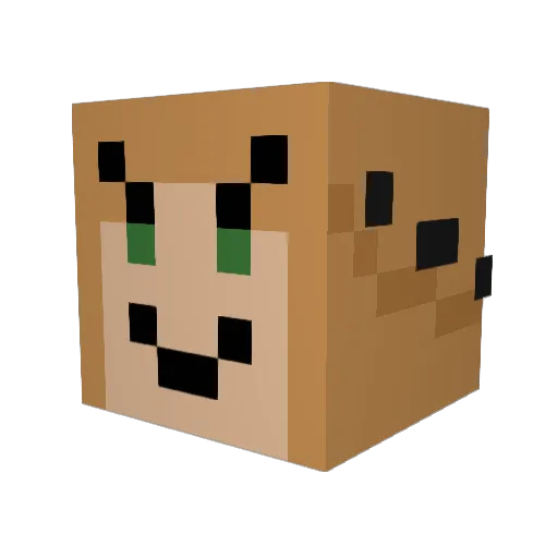 crimsonN0ob Minecraft avatar head, 3D render
