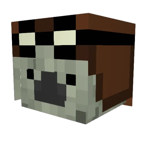 cringemc1997 Minecraft avatar head, 3D render