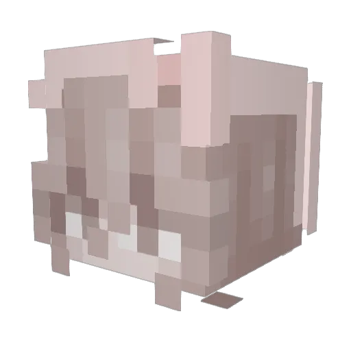 cringy363446 Minecraft avatar head, 3D render