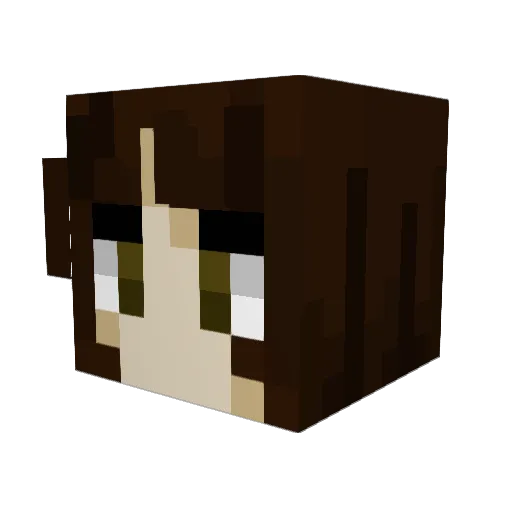 crippleitout Minecraft avatar head, 3D render