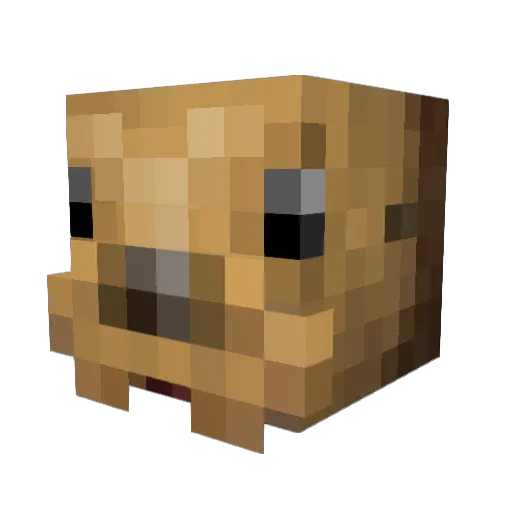 cripticram Minecraft avatar head, 3D render