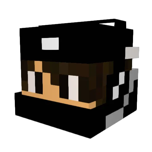 cris_p40 Minecraft avatar head, 3D render