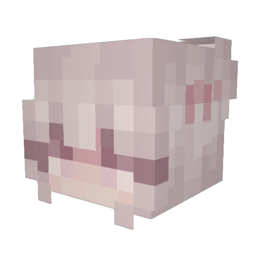 crisptypink Minecraft avatar head, 3D render