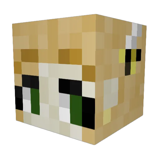 crissy907 Minecraft avatar head, 3D render