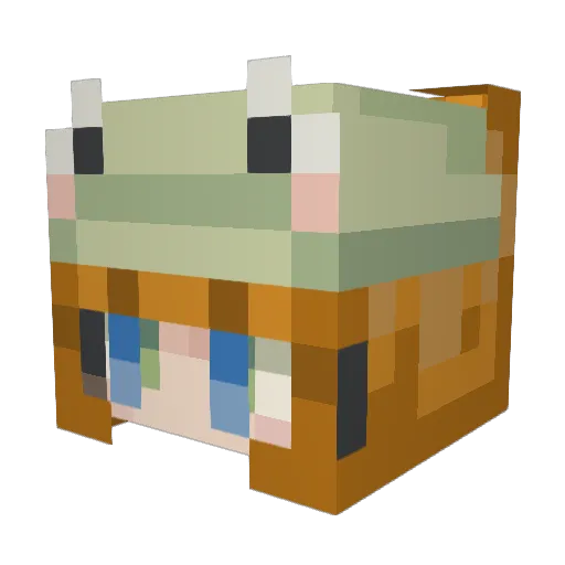 cristhebroasca Minecraft avatar head, 3D render