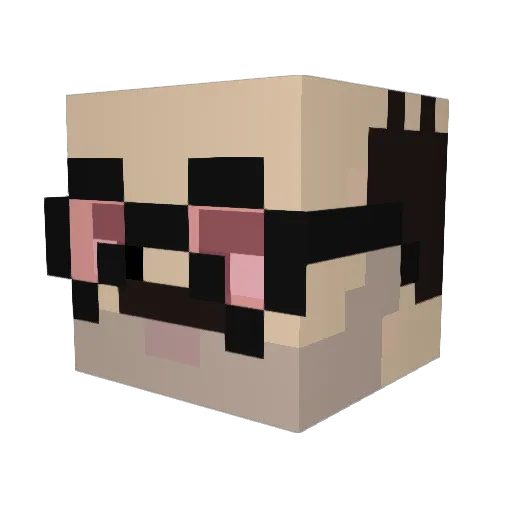 cristobaltoroo Minecraft avatar head, 3D render