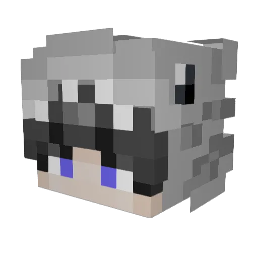 criszis Minecraft avatar head, 3D render