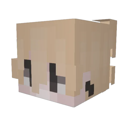 criticxl3 Minecraft avatar head, 3D render