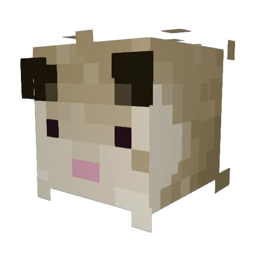 crittercoded Minecraft avatar head, 3D render